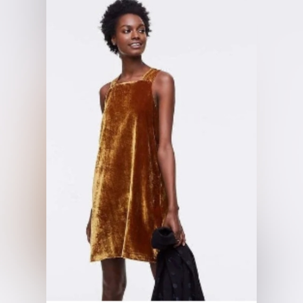Ann Taylor LOFT Gold Velvet Dress